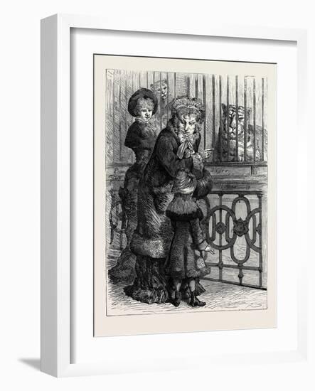 At the Zoological Society's Gardens in London: the Cat Family 1880-null-Framed Giclee Print