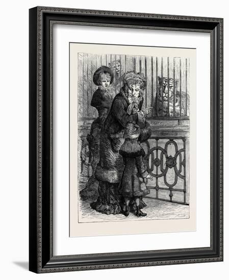 At the Zoological Society's Gardens in London: the Cat Family 1880-null-Framed Giclee Print