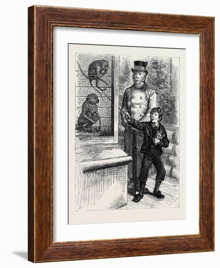 At the Zoological Society's Gardens in London: the Monkeys 1880-null-Framed Giclee Print