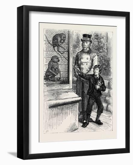 At the Zoological Society's Gardens in London: the Monkeys 1880-null-Framed Giclee Print
