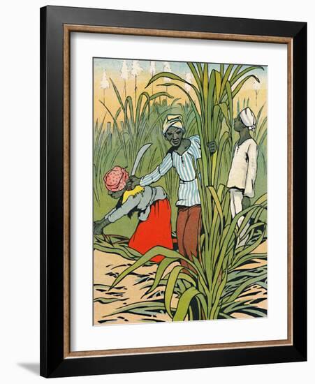 'At Work Among The Sugar-Canes', 1912-Charles Robinson-Framed Giclee Print