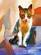 Giclee Print