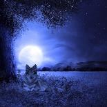 Moon Night And Wolf-Ata Alishahi-Giclee Print