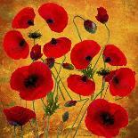 Red Roses-Ata Alishahi-Giclee Print