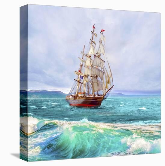 Stretched Canvas Print, , large