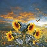Sunflowers-Ata Alishahi-Giclee Print