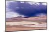 Atacama Desert, Chile-Peter Groenendijk-Mounted Photographic Print