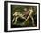 Atalanta and Hippomenes, circa 1612-Guido Reni-Framed Giclee Print