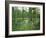 Atchofalaya Swamp in the Heart of Cajun Country, Near Gibson, Louisiana, USA-Robert Francis-Framed Photographic Print