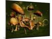 Premium Giclee Print