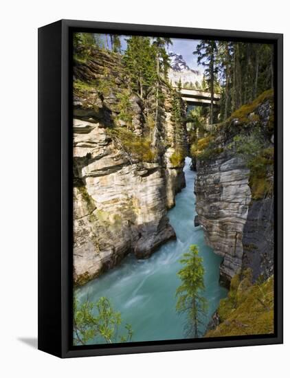 Athabasca Falls, Jasper National Park, Alberta, Canada-Larry Ditto-Framed Premier Image Canvas