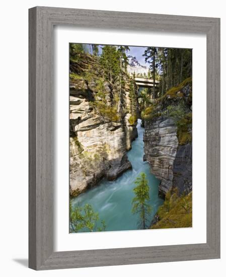 Athabasca Falls, Jasper National Park, Alberta, Canada-Larry Ditto-Framed Photographic Print