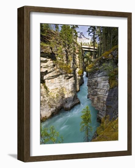 Athabasca Falls, Jasper National Park, Alberta, Canada-Larry Ditto-Framed Photographic Print