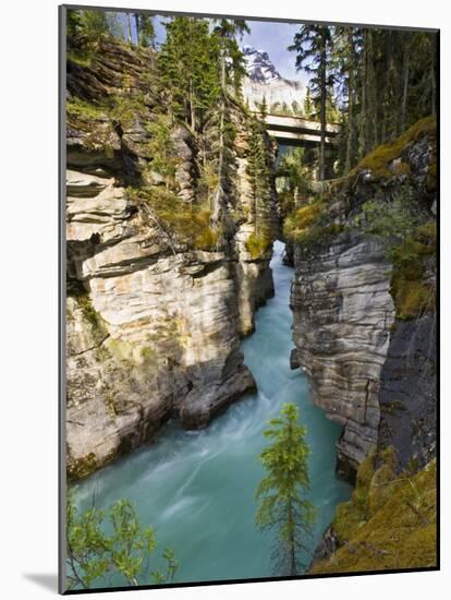 Athabasca Falls, Jasper National Park, Alberta, Canada-Larry Ditto-Mounted Photographic Print