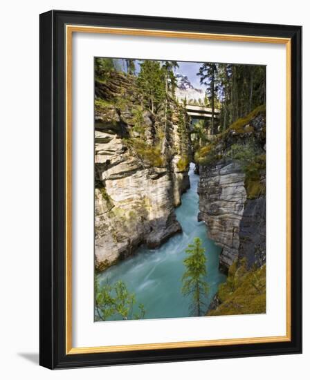 Athabasca Falls, Jasper National Park, Alberta, Canada-Larry Ditto-Framed Photographic Print