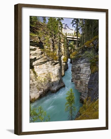 Athabasca Falls, Jasper National Park, Alberta, Canada-Larry Ditto-Framed Photographic Print