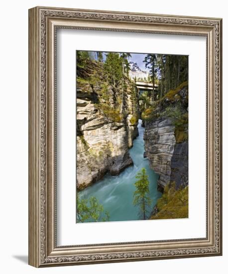 Athabasca Falls, Jasper National Park, Alberta, Canada-Larry Ditto-Framed Photographic Print