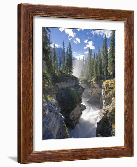 Athabasca Falls Waterfall, Jasper National Park, Alberta, Canada-Michele Falzone-Framed Photographic Print