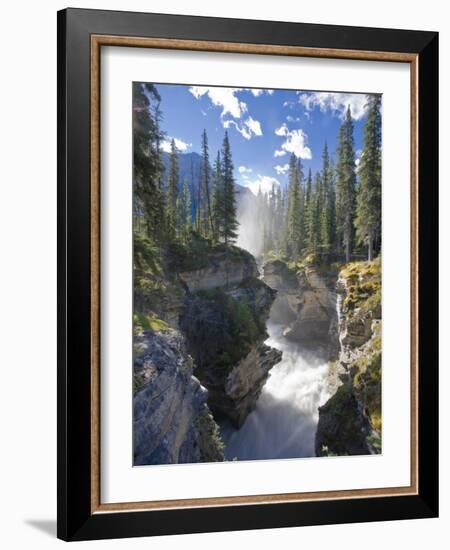 Athabasca Falls Waterfall, Jasper National Park, Alberta, Canada-Michele Falzone-Framed Photographic Print