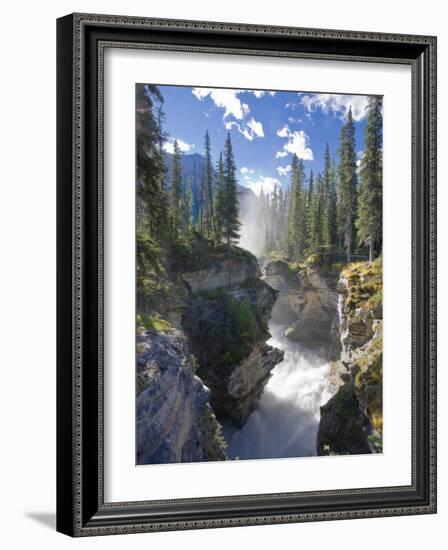 Athabasca Falls Waterfall, Jasper National Park, Alberta, Canada-Michele Falzone-Framed Photographic Print