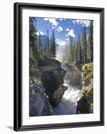 Athabasca Falls Waterfall, Jasper National Park, Alberta, Canada-Michele Falzone-Framed Photographic Print