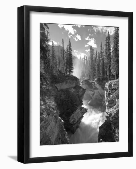 Athabasca Falls Waterfall, Jasper National Park, Alberta, Canada-Michele Falzone-Framed Photographic Print