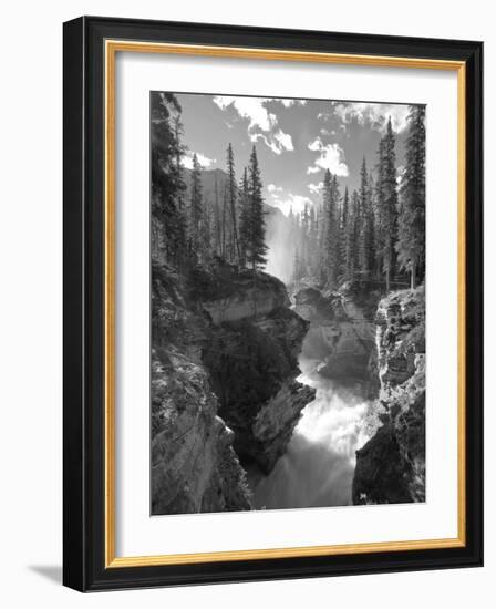 Athabasca Falls Waterfall, Jasper National Park, Alberta, Canada-Michele Falzone-Framed Photographic Print