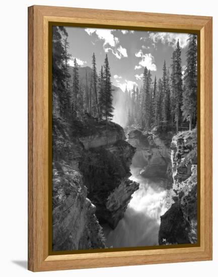 Athabasca Falls Waterfall, Jasper National Park, Alberta, Canada-Michele Falzone-Framed Premier Image Canvas