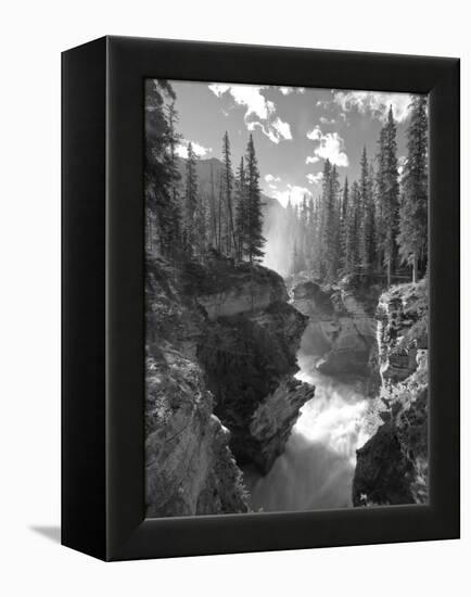 Athabasca Falls Waterfall, Jasper National Park, Alberta, Canada-Michele Falzone-Framed Premier Image Canvas