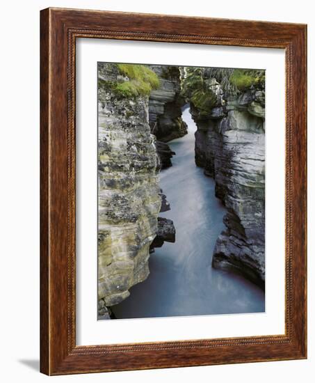 Athabasca River-Jim Zuckerman-Framed Photographic Print