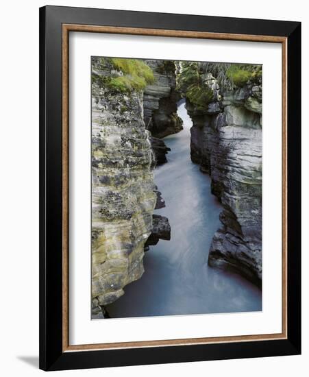 Athabasca River-Jim Zuckerman-Framed Photographic Print