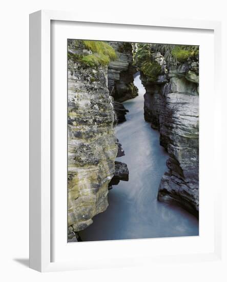 Athabasca River-Jim Zuckerman-Framed Photographic Print