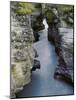 Athabasca River-Jim Zuckerman-Mounted Photographic Print