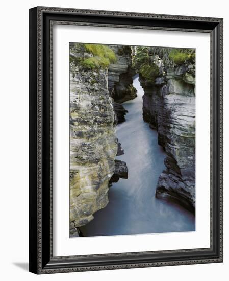 Athabasca River-Jim Zuckerman-Framed Photographic Print