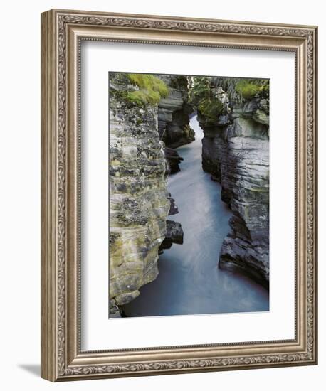 Athabasca River-Jim Zuckerman-Framed Photographic Print