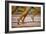 Atheltes Running-Bjorn Svensson-Framed Photographic Print