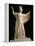 Athena Promachos (Athena), 1st Century, Marble, Full Relief-null-Framed Premier Image Canvas