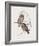 Athene Maculata-John Gould-Framed Giclee Print