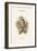 Athene Noctua - Little Owl-John Gould-Framed Art Print