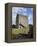 Athenry Castle, County Galway, Connacht, Republic of Ireland-Gary Cook-Framed Premier Image Canvas