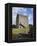 Athenry Castle, County Galway, Connacht, Republic of Ireland-Gary Cook-Framed Premier Image Canvas
