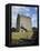 Athenry Castle, County Galway, Connacht, Republic of Ireland-Gary Cook-Framed Premier Image Canvas