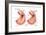 Atherosclerosis-Encyclopaedia Britannica-Framed Art Print