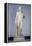 Athlete, Roman Copy after an Original by Polykleitos in Pompeii-null-Framed Premier Image Canvas