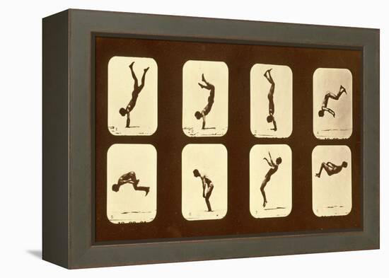 Athletes. Irregular from 'Animal Locomotion' Series, C.1881-Eadweard Muybridge-Framed Premier Image Canvas