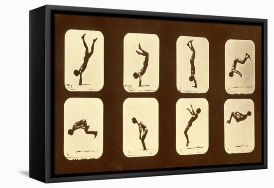 Athletes. Irregular from 'Animal Locomotion' Series, C.1881-Eadweard Muybridge-Framed Premier Image Canvas