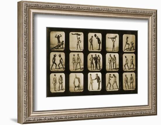 Athletes Posturing, from the 'Animal Locomotion' Series, C.1881-Eadweard Muybridge-Framed Photographic Print