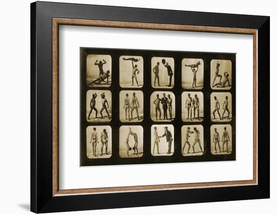 Athletes Posturing, from the 'Animal Locomotion' Series, C.1881-Eadweard Muybridge-Framed Photographic Print