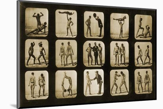 Athletes Posturing, from the 'Animal Locomotion' Series, C.1881-Eadweard Muybridge-Mounted Photographic Print