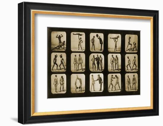 Athletes Posturing, from the 'Animal Locomotion' Series, C.1881-Eadweard Muybridge-Framed Photographic Print